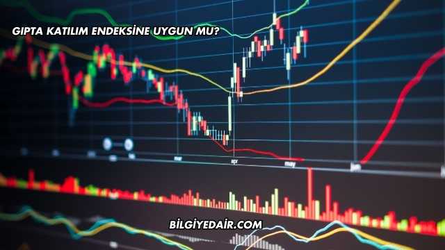 Gıpta Katılım Endeksine Uygun mu?