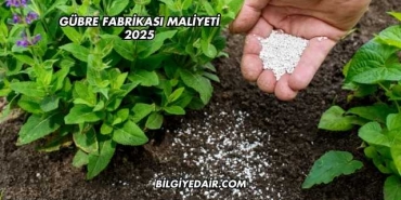 Gübre Fabrikası Maliyeti 2025