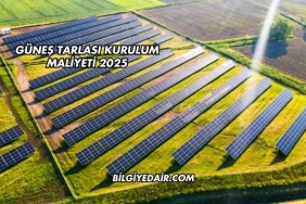 Güneş Tarlası Kurulum Maliyeti 2025