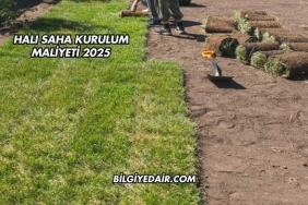 Halı Saha Kurulum Maliyeti 2025