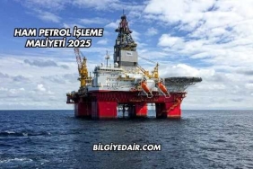 Ham Petrol İşleme Maliyeti 2025