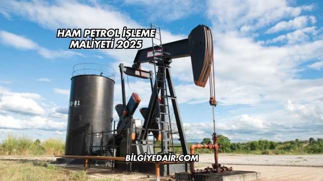 Ham Petrol İşleme Maliyeti 2025
