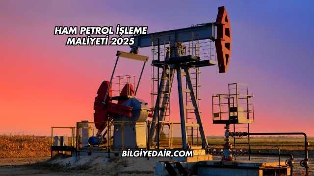Ham Petrol İşleme Maliyeti 2025