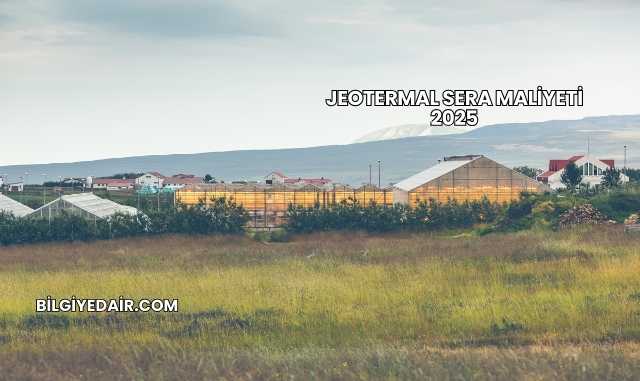 Jeotermal Sera Maliyeti 2025