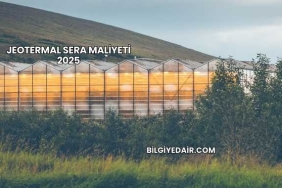 Jeotermal Sera Maliyeti 2025