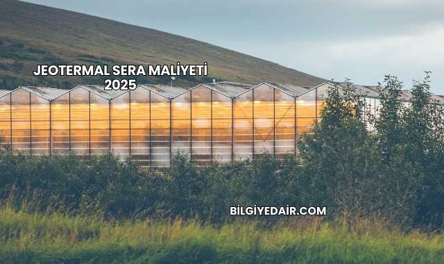 Jeotermal Sera Maliyeti 2025