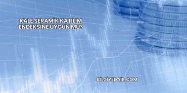 Kale Seramik Katılım Endeksine Uygun mu?