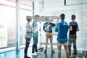 Karadağ Şirket Kurma Maliyeti 2025