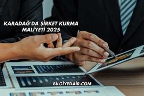 Karadağ'da Şirket Kurma Maliyeti 2025