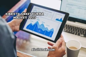 Kıbrıs'ta Şirket Kurma Maliyeti 2025