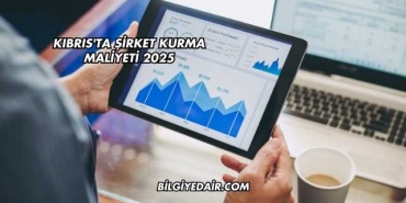Kıbrıs'ta Şirket Kurma Maliyeti 2025