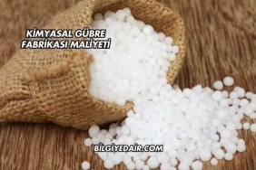 Kimyasal Gübre Fabrikası Maliyeti