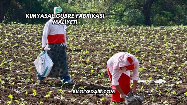 Kimyasal Gübre Fabrikası Maliyeti
