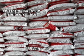 Kimyasal Gübre Üretim Tesisi Maliyeti 2025