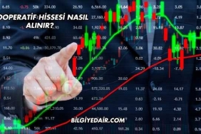 Kooperatif Hissesi Nasıl Alınır?