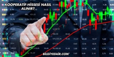 Kooperatif Hissesi Nasıl Alınır?