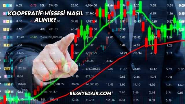 Kooperatif Hissesi Nasıl Alınır?