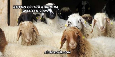 Koyun Çiftliği Kurulum Maliyeti 2025