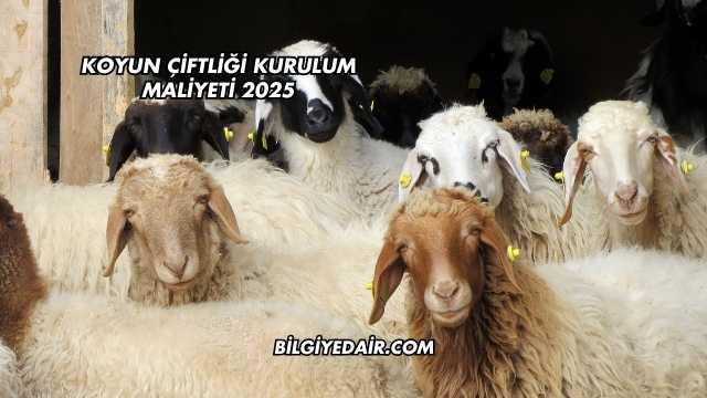 Koyun Çiftliği Kurulum Maliyeti 2025