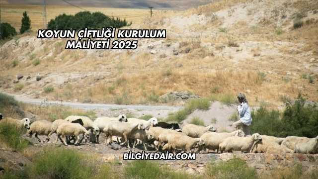 Koyun Çiftliği Kurulum Maliyeti 2025