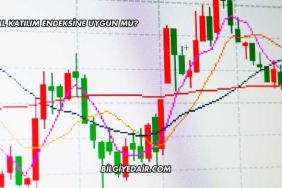 Kozal Katılım Endeksine Uygun mu?