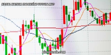 Kozal Katılım Endeksine Uygun mu?