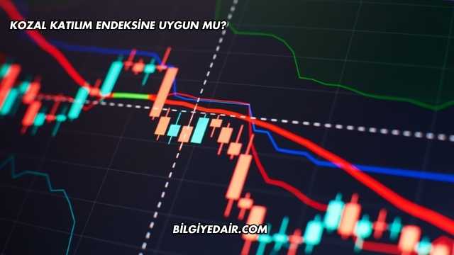 Kozal Katılım Endeksine Uygun mu?