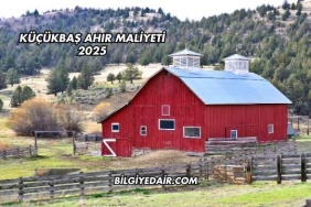 Küçükbaş Ahır Maliyeti 2025
