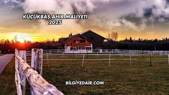Küçükbaş Ahır Maliyeti 2025