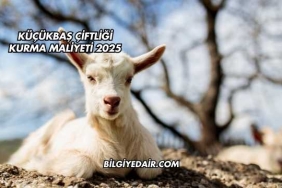 Küçükbaş Çiftliği Kurma Maliyeti 2025