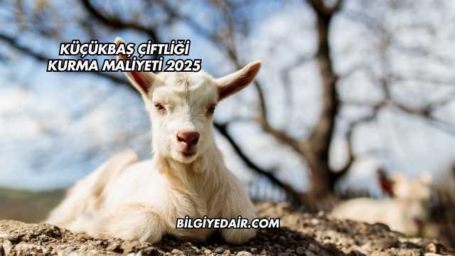 Küçükbaş Çiftliği Kurma Maliyeti 2025