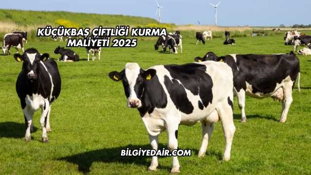 Küçükbaş Çiftliği Kurma Maliyeti 2025