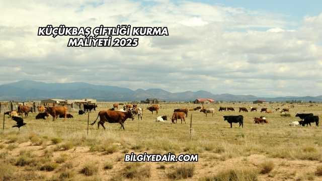 Küçükbaş Çiftliği Kurma Maliyeti 2025