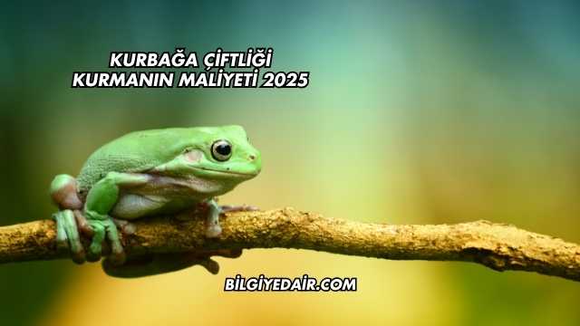 Kurbağa Çiftliği Kurmanın Maliyeti 2025