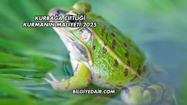Kurbağa Çiftliği Kurmanın Maliyeti 2025