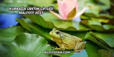 Kurbağa Üretim Çiftliği Maliyeti 2025