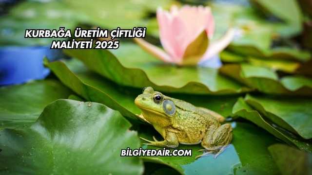 Kurbağa Üretim Çiftliği Maliyeti 2025