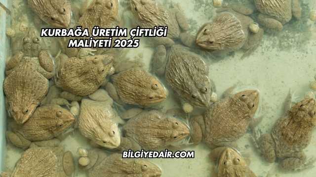 Kurbağa Üretim Çiftliği Maliyeti 2025