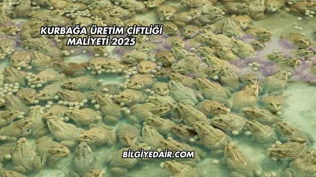 Kurbağa Üretim Çiftliği Maliyeti 2025