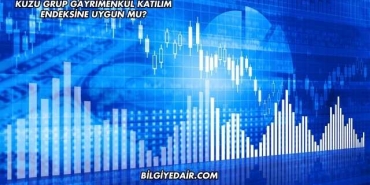 Kuzu Grup Gayrimenkul Katılım Endeksine Uygun mu?