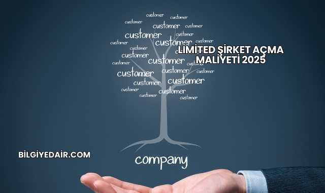 Limited Şirket Açma Maliyeti 2025
