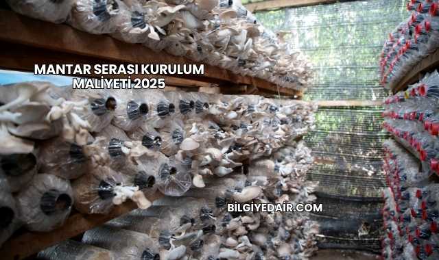 Mantar Serası Kurulum Maliyeti 2025