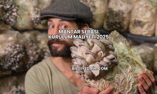 Mantar Serası Kurulum Maliyeti 2025