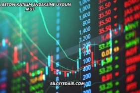 Meka Beton Katılım Endeksine Uygun mu?