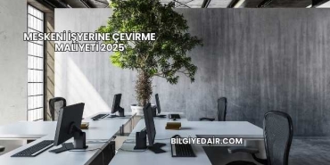 Meskeni İşyerine Çevirme Maliyeti 2025