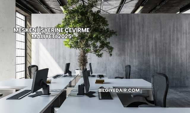 Meskeni İşyerine Çevirme Maliyeti 2025