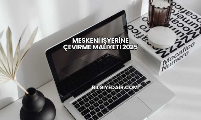 Meskeni İşyerine Çevirme Maliyeti 2025