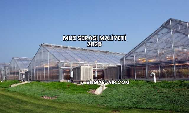Muz Serası Maliyeti 2025