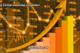 Naten Katılım Endeksine Uygun mu?