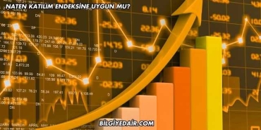 Naten Katılım Endeksine Uygun mu?
